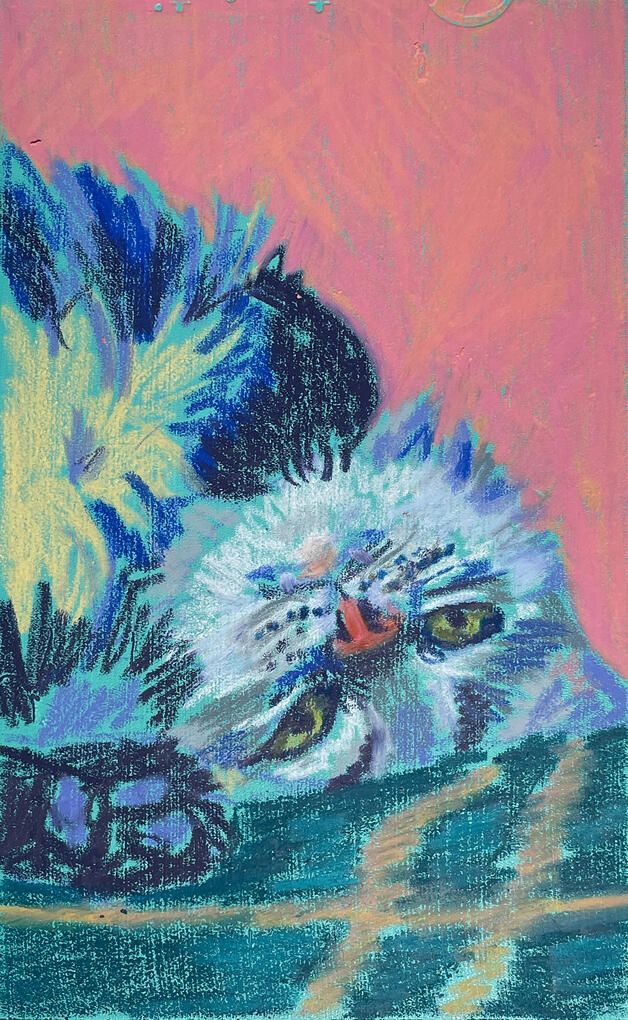 Portrait of my cat Purl - Melissa Martin | Illustrator & Artist Client: Metrolinx, Up Express Map - Melissa Martin | Illustrator & Artist